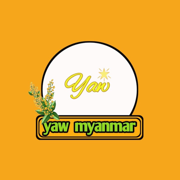 yaw myanmar - asia food store photo